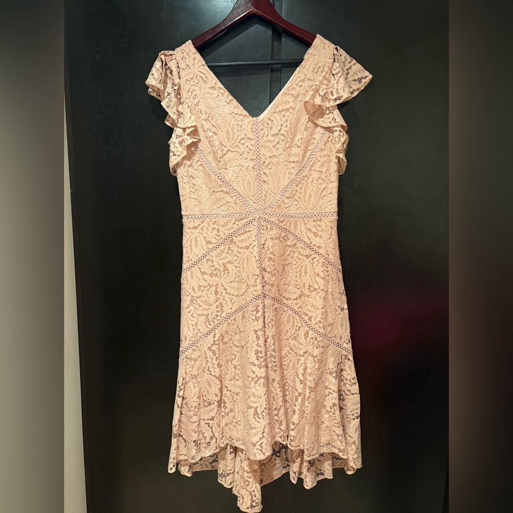 Elegant Lace Pink Dress